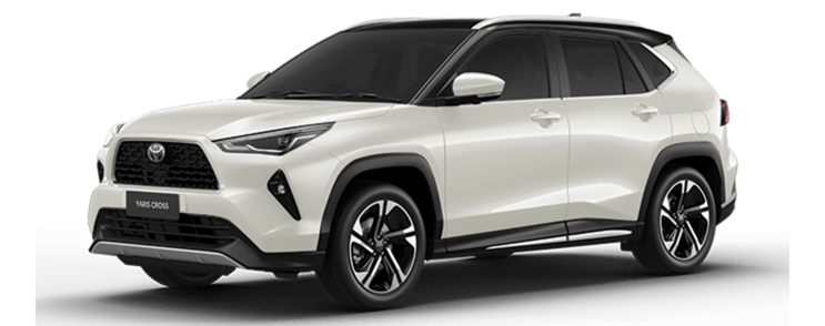 Trắng ngọc trai nóc đen (+12.000.000đ)
